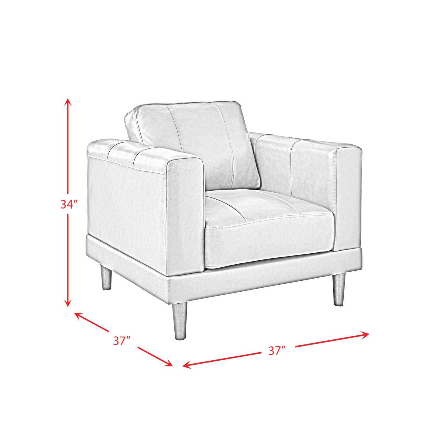 Hampton - Chair - Fiero Black (Top Grain/Pvc)