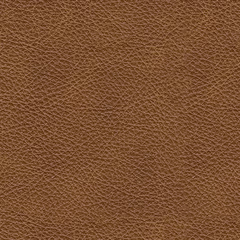 Carianna - Loveseat - Caramel