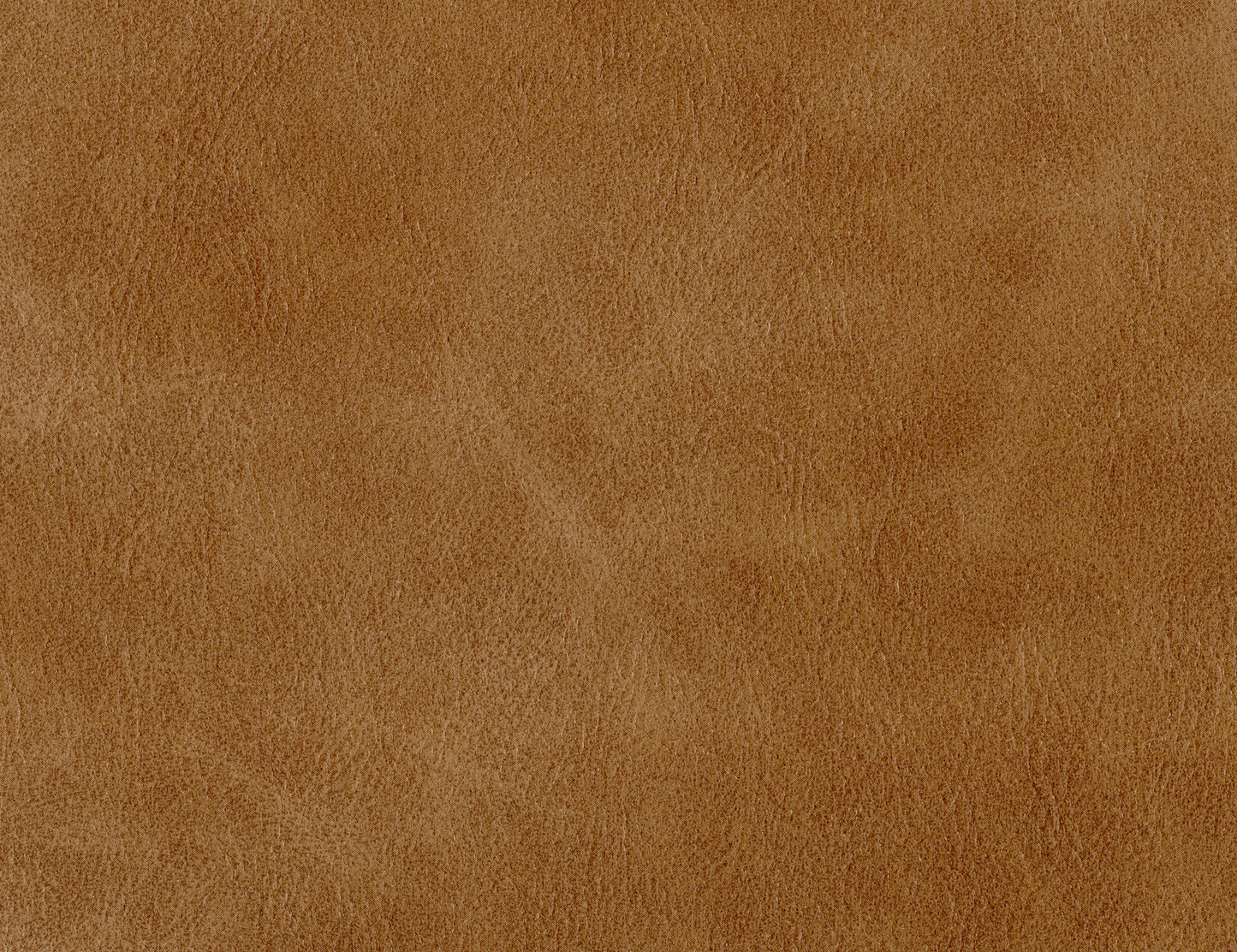 Olivo - Loveseat - Caramel Color