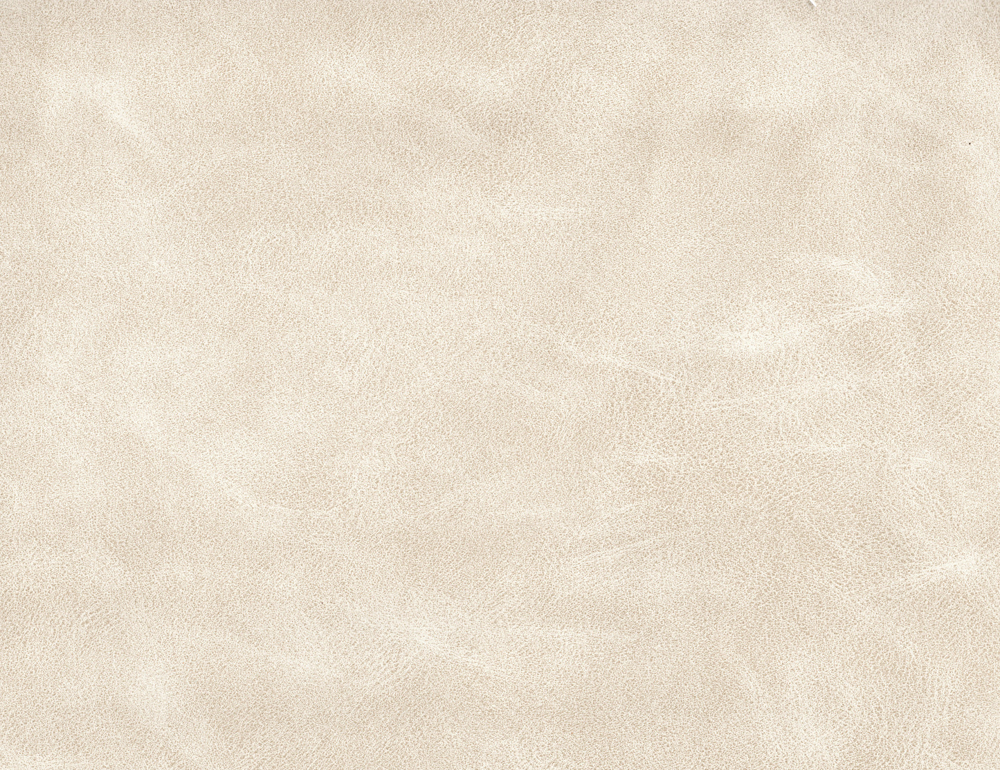 Olivo - PU Comfort Sofa - Marfil