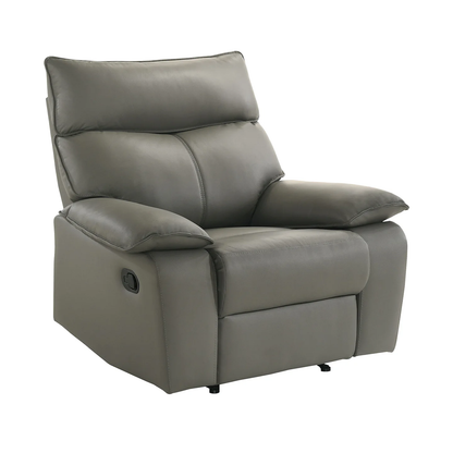 Wildcat - Motion Recliner - Gray