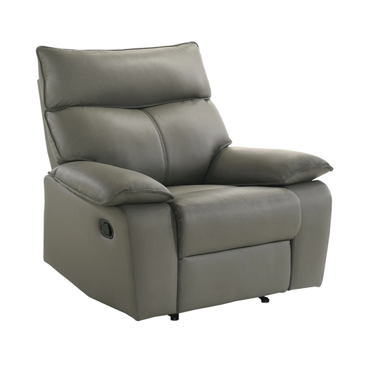 Wildcat - Motion Recliner - Gray