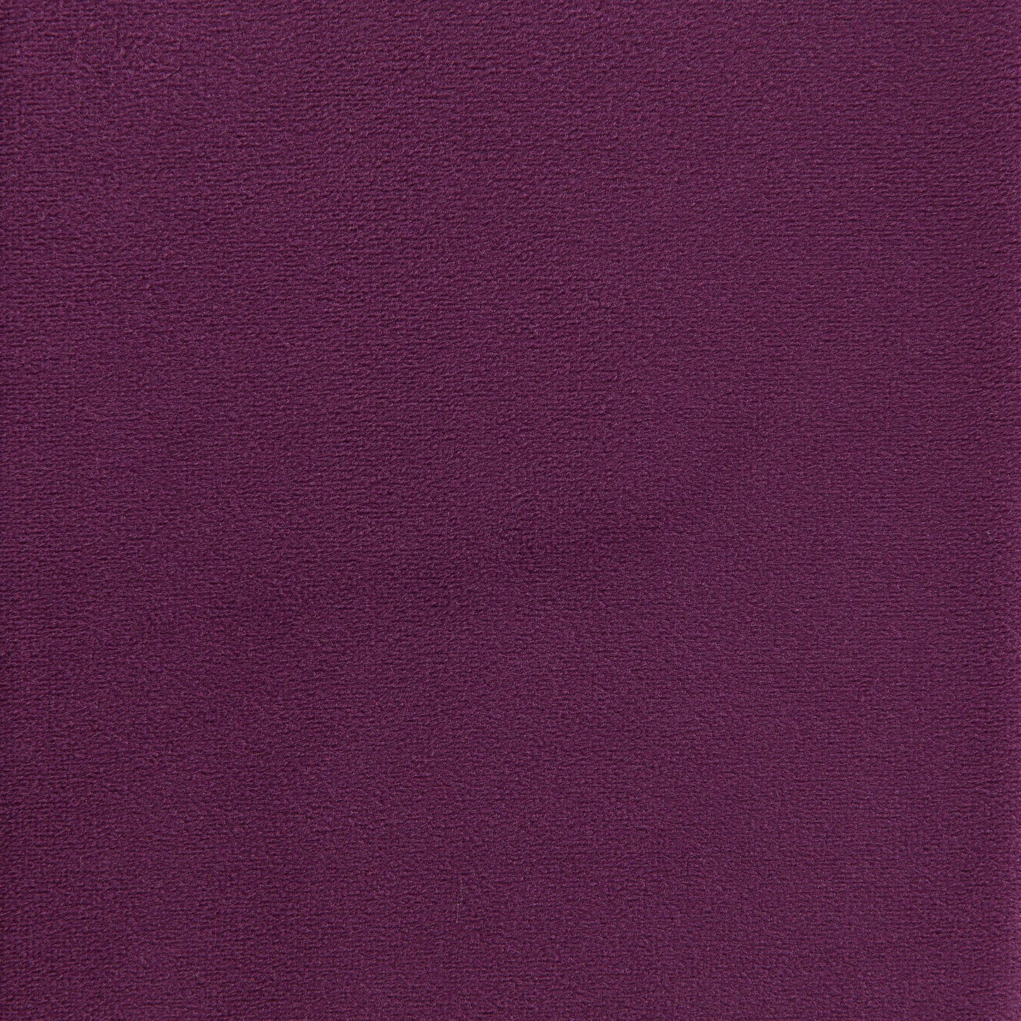 Rae - Chair - Lavish Purple Velvet