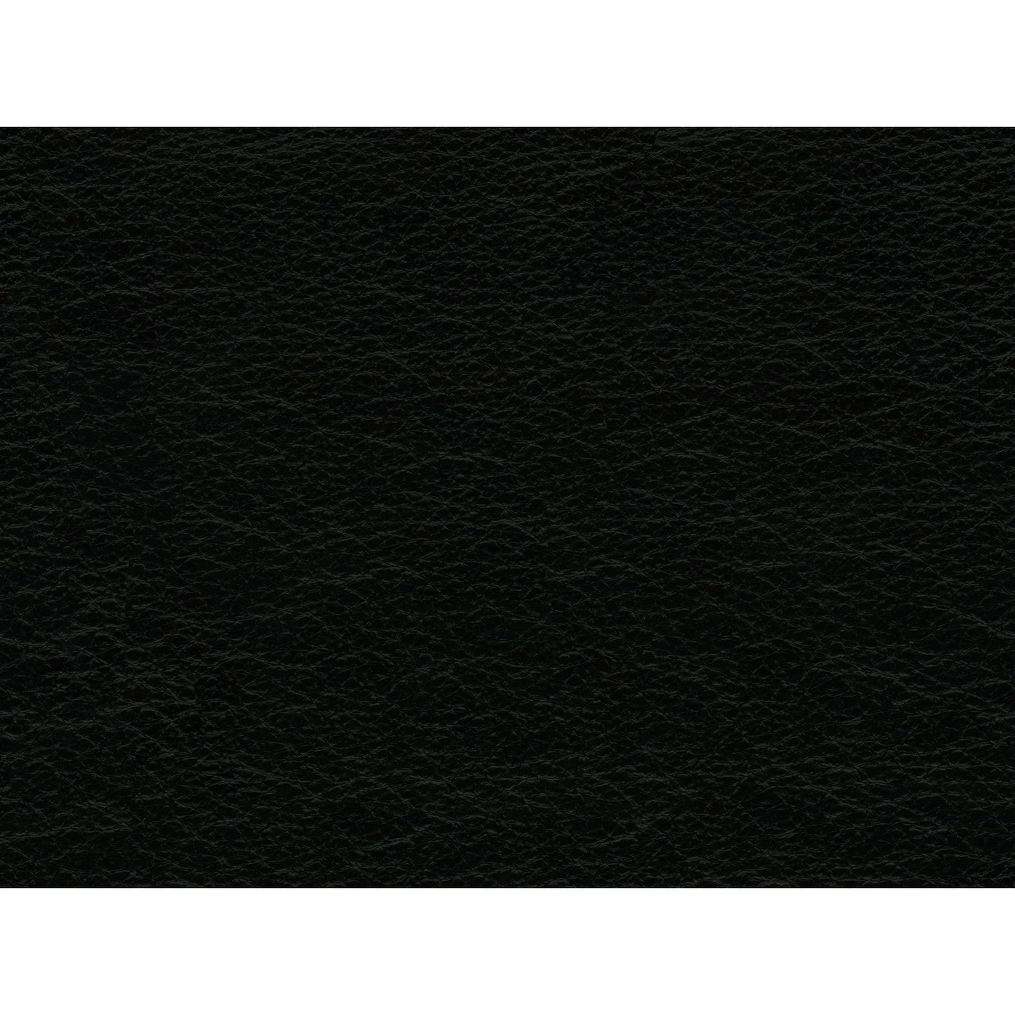 Hampton - Chair - Fiero Black (Top Grain/Pvc)