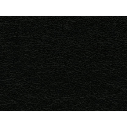 Hampton - Chair - Fiero Black (Top Grain/Pvc)