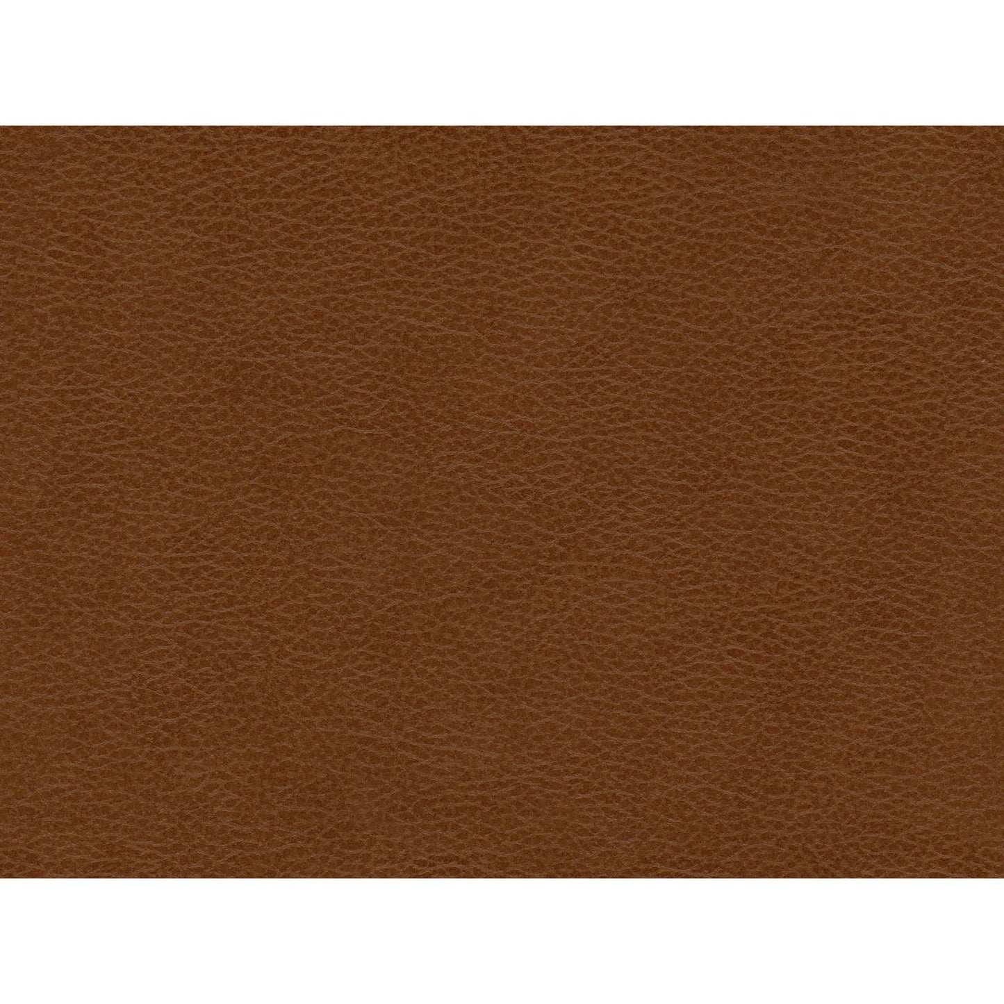 Hampton - Chair - Fiero Tan (Top Grain/Pvc)