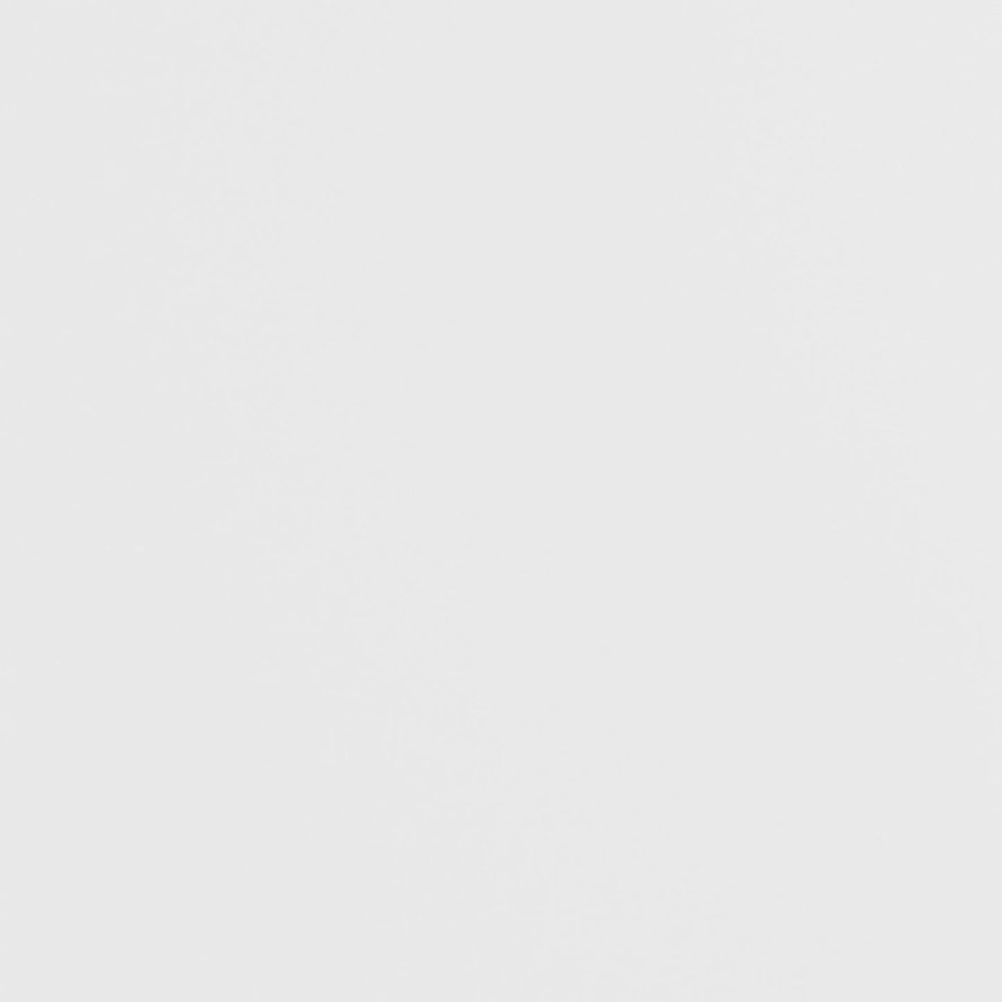 Hampton Kids - Twin Loft With Ladder And Desk With Speaker - White